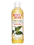 GREEN TEA & FENNEL SEED SHAMPOO 12 FL OZ