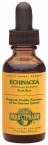 ORANGE FLAVORED ECHINACEA 1 FL. OZ.