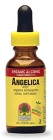 ANGELICA ROOT 2OZ disco