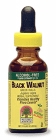 AF BLACK WALNUT 1 OZ