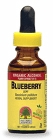 BLUEBERRY LEAF 1 OZ