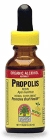 PROPOLIS RESIN 1 OZ