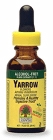 ALCOHOL FREE YARROW FLOWERS 1 OZ