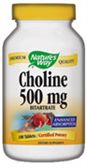 CHOLINE 500MG 100CAPS