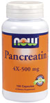 Pancreatin 4x 500mg 100caps