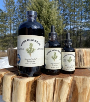 MONTANA YEW TIP TINCTURE 2 OZ