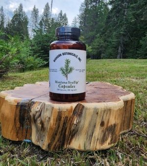 BIGHORN BOTANICALS MONTANA YEW TIP 200 CAPS