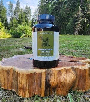 Bighorn Botanicals Montana Yew Tip 400 Capsules