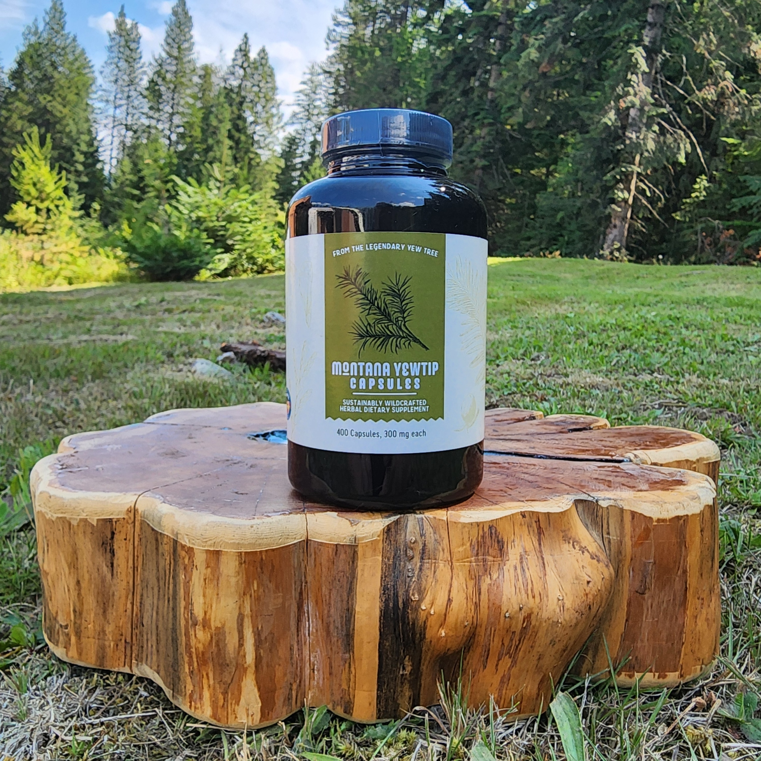 Bighorn Botanicals Montana Yew Tip 400 Capsules